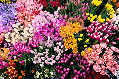 GTA+订阅服务上线Steam 可畅玩多款经典R星游戏