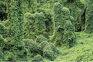 鹰角买断制手游《来自星尘》发售PV 27号凌晨解锁