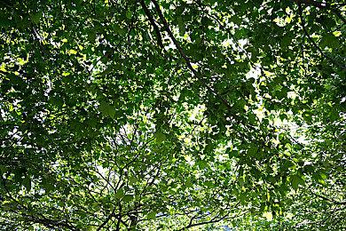 《索尼克：未知边境》媒体评分今晚11点解禁